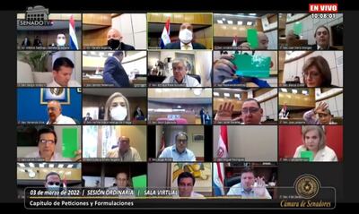 Captura de video del momento en que los senadores votaron por la postergación del tratamiento del proyecto.