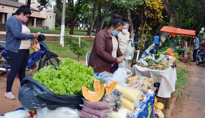 La idea consiste en poner en práctica la huerta comunitaria en los barrios y en las compañías vecinas para el alimento diario así como para la venta.