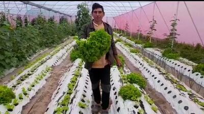 Don Eusebio Benítez, uno de los productores de hortalizas de la tercera compañía Yataity, distrito de Pilar.