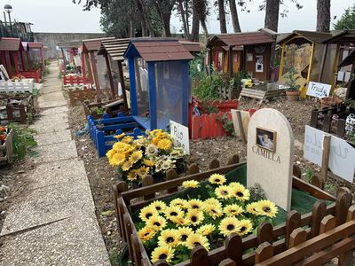 El cementerio de mascotas más antiguo de Italia, con cerca de mil tumbas de animales de todo tipo, desde perros y gatos hasta palomas, iguanas e incluso un león, cumple cien años desde su primera y sorprendente sepultura: la gallina de los hijos de Benito Mussolini.