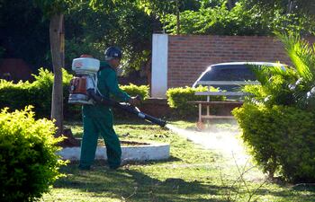 Además de una limpieza diaria del jardín e interior del hogar, es importante realizar fumigaciones regulares.