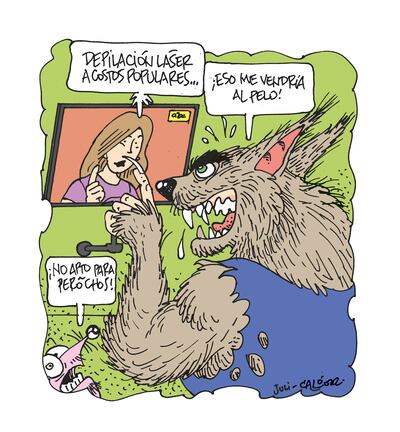 Humor