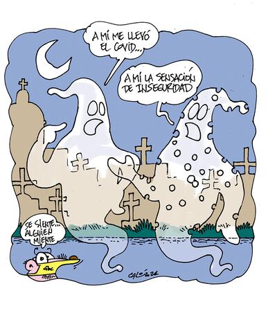 Informe