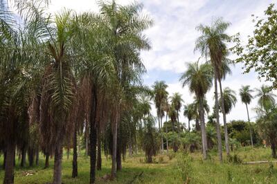 /pf/resources/images/abc-placeholder.png?d=2397