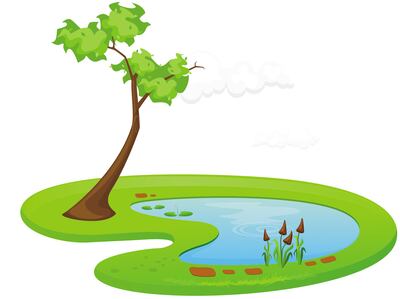 Aprendemos con las fábulas (2)