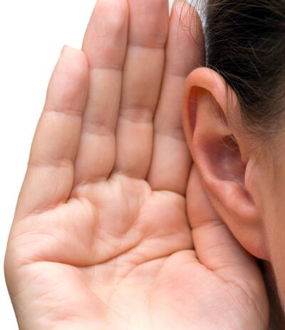 En el estudio descubrieron que algunas áreas situadas en el giro temporal superior respondían tan rápido como el córtex auditivo primario cuando se reproducían frases, lo que sugiere que ambas áreas empezaban a procesar la información acústica al mismo tiempo.