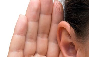 En el estudio descubrieron que algunas áreas situadas en el giro temporal superior respondían tan rápido como el córtex auditivo primario cuando se reproducían frases, lo que sugiere que ambas áreas empezaban a procesar la información acústica al mismo tiempo.