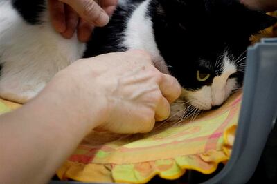 /pf/resources/images/abc-placeholder.png?d=2393