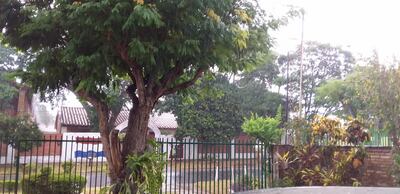 La lluvia llegó esta tarde en Misiones.