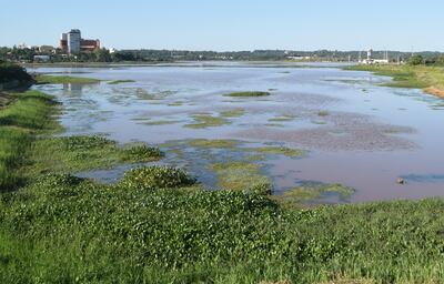 Vista general del arroyo Potî’y en una zona cercana a la desembocadura en el subembalse del arroyo Mbói Ka’ê.
