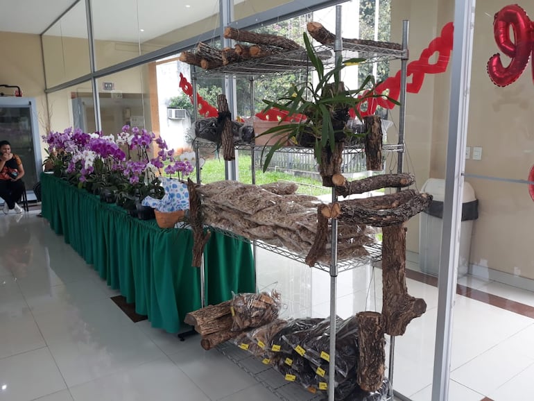 Además de las orquídeas se podrán encontrar fertilizantes, sustratos y planteras especiales que son exclusivas para las orquídeas.