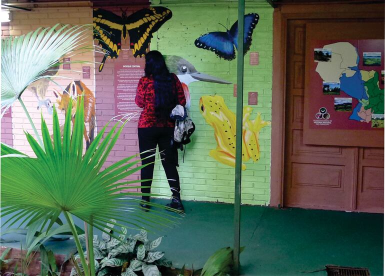 Mejoras implementadas en el Museo Nacional de Historia Natural del Paraguay.