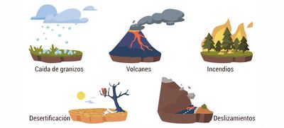 Los problemas del medio ambiente y las acciones para protegerlos.