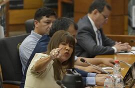 La diputada Celeste Amarilla (PLRA) una vez más apuntó a Horacio Cartes, de estar detrás de amenazas en su contra.