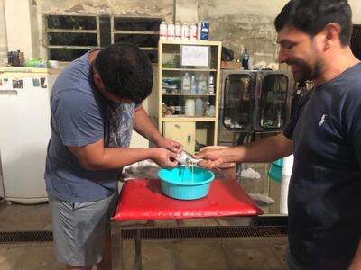 Reproducción inducida de peces.