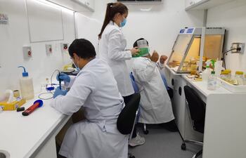 Técnicos realizan trabajos de in vitro