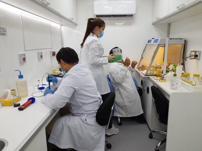 Técnicos realizan trabajos de in vitro