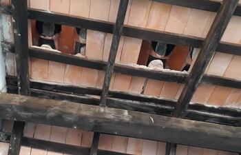 Escuela N° 2204 Sagrado Corazón de Jesús, Ybycuí, Paraguarí que va cayendo a pedazos.