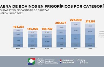 Estadísticas mensuales del faenamiento bovino, según el Senacsa.