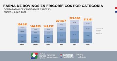 Estadísticas mensuales del faenamiento bovino, según el Senacsa.