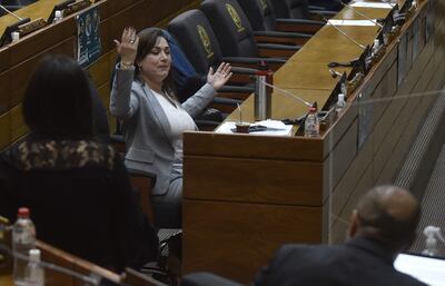 Diputada Rocío Abed de Zacarías