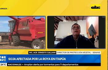 Soja afectada por la roya en Itapúa