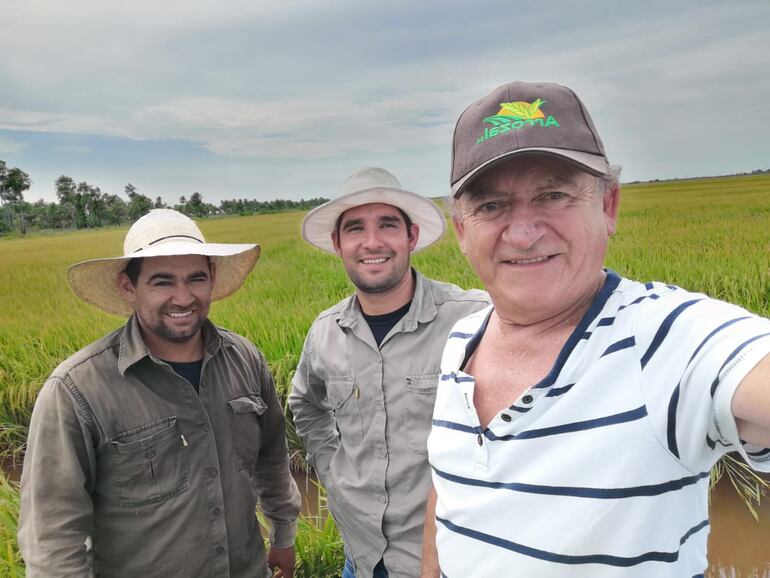 Ing. Héctor Ramírez, con dos técnicos, en una parcela de arroz.