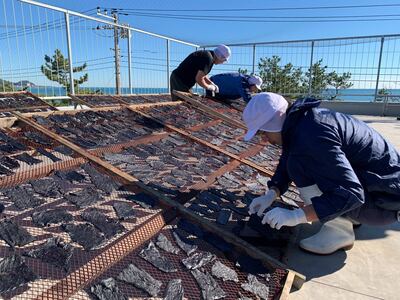La planta de procesamiento de Wada, una pequeña localidad de 4.000 habitantes al este del archipiélago, que desde 1949 captura estos cetáceos y procesa la carne para el consumo nacional. La captura de ballenas es una industria que mantienen viva en Japón pequeñas comunidades pesqueras como Wada, en un país que consume poca carne de cetáceo y permite desde 2019 su caza con fines comerciales.