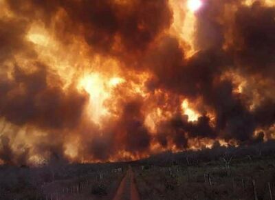 El incendio afecta a un gran predio en la zona de Domínguez Nigo, cerca de Horqueta, en Concepción.
