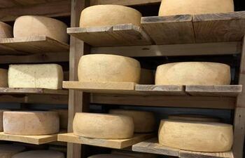 El Tour del Queso, una opción ideal para hacer turismo