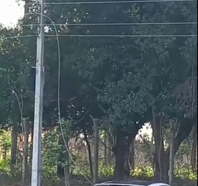 Cable suelto al lado de una escuela.