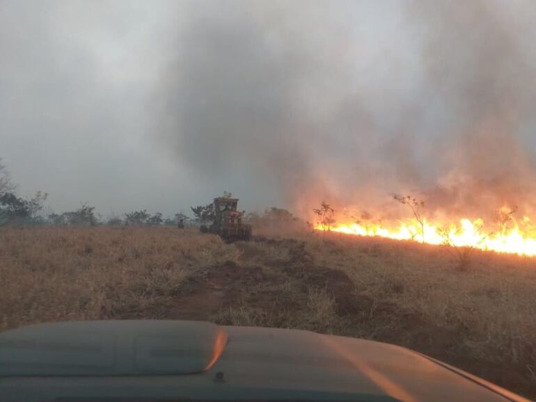 En varios municipios de Concepción se registras importantes focos de incendio.