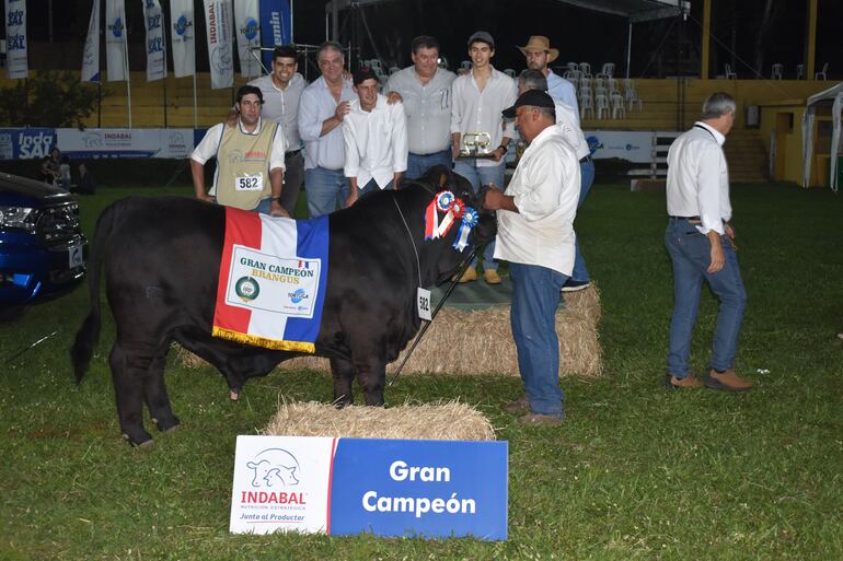 Gran campeón: (582) GAR FIV, RP 2477 (06/08/2020). Criado y expuesto por Ganadera Arandu S.A.
