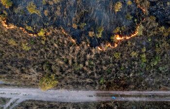 Científicos alertan de las consecuencias de vivir a crédito con el planeta: cambio climático hasta la desaparición de especies y ecosistemas.