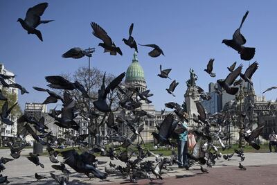 Una mujer alimenta a las palomas en la plaza frente al Congreso argentino.