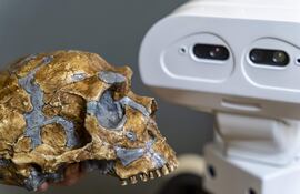 Hace unos tres millones de años los humanos pasaron de usar herramientas a inventarlas y desarrollarlas. Este paso crítico, que ahora parece sencillo, supuso un salto tecnológico y cognitivo importante. ¿Podrían los robots hacer lo mismo y crear útiles 'de la nada' para lograr una tarea? Un proyecto va a probarlo. Con una financiación de cuatro millones de euros del Consejo Europeo de Innovación, siete instituciones científicas y compañías europeas se han unido para investigar cómo los robots pueden desarrollar "habilidades cognitivas" que les permitan inventar "por sí solos" herramientas como lo hicieron nuestros ancestros. El proyecto Metatool, en el que se mezcla arqueología de materiales, neurociencia y robótica, está liderado por dos españoles: Ricardo Sanz, de la Universidad Politécnica de Madrid, y Pablo Lanillos, del Instituto Donders para la Cognición.