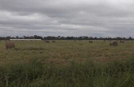 Propiedad en Boquerón propiedad que pertenece a la Comunidad Indígena Loma. ahora en litigio judicial.