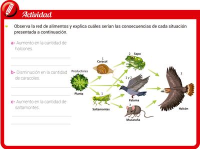 Redes tróficas o de alimentos