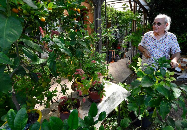 Michael Moisseeff, escultor de aromas, examina plantas en su jardín.