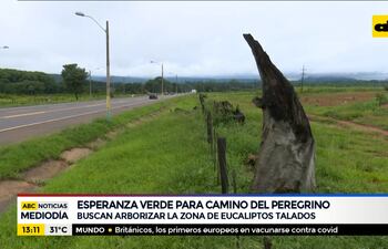 Esperanza verde para el camino del peregrino