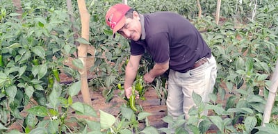 El productor Silvio Parra muestra la producción de óptima calidad.