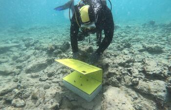 Un buzo coloca carteles indicativos de el yacimiento arqueológico de Pavlopetri, la ciudad sumergida más antigua del mundo, situada en la punta austral de la península del Peloponeso en Grecia.