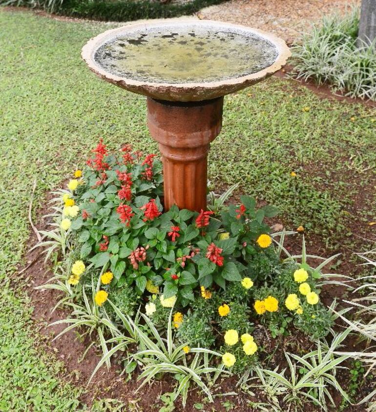 Colores alegres en el jardín con coralito y tagetes.