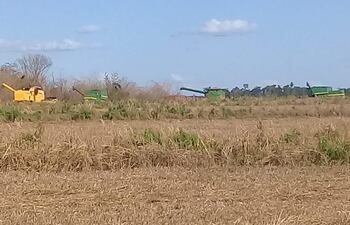 Miembros de la comunidad indígena Y'akã Marangatu, denuncian que extraños ingresaron maquinarias a su propiedad.