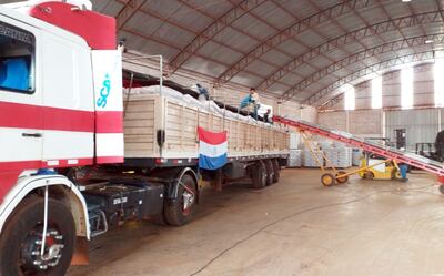 Los productores pueden utilizar su propia semilla, pero al vender esa simiente están en infracción a la Ley N° 385 de Semillas.