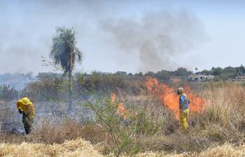 Bomberos trabajaron arduamente durante unas tres horas para controlar el incendio.