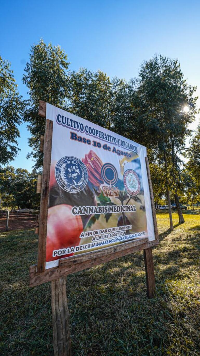 Fotos de las cosechas públicas de cannabis realizadas en Agüerito, San Pedro. Impulsores de actividades buscan fomentar encuentro entre productores y usuarios este domingo en la Plaza Italia de Asunción.