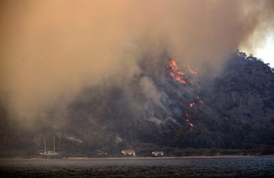 Vista de un incendio forestal en una zona rural en el distrito Milas de Mugla, Turquía.