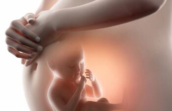 Una mujer italiana de 41 años, que había superado un cáncer de mama, consiguió quedarse embarazada de mellizos gracias a óvulos congelados hace 14 años y donados por otra mujer, y, aseguran, “es la primera vez en el mundo que se documenta la fertilidad de ovocitos vitrificados y criopreservados después de tanto tiempo”.