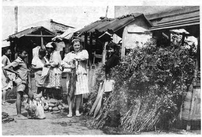 Venta de ka’avove’i